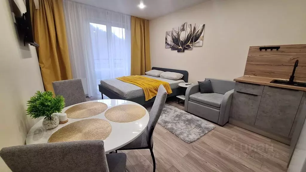 Студия Краснодарский край, Сочи ул. Искры, 88к3 (29.0 м) - Фото 2