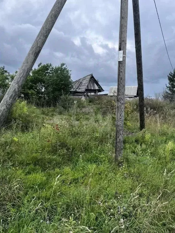 Участок в Вологодская область, д. Охлопково  (25.0 сот.) - Фото 1
