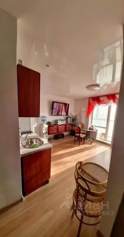 Студия Алтайский край, Барнаул ул. Димитрова, 81 (28.0 м) - Фото 2