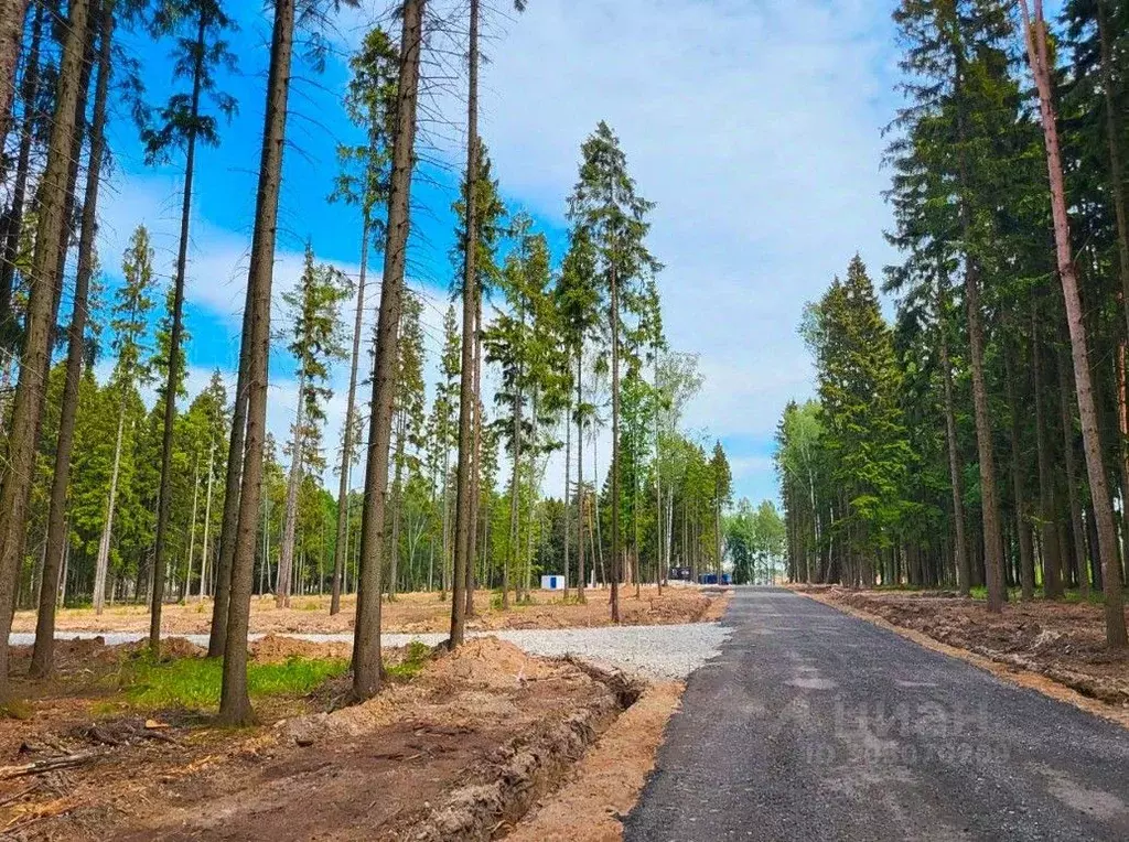 Участок в Московская область, Химки Сходня мкр, ул. Пушкина (7.0 сот.) - Фото 0