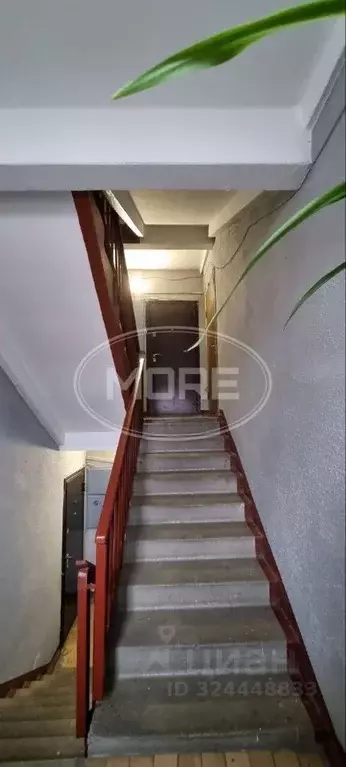 1-к кв. Калининградская область, Калининград Ореховая ул., 11 (33.8 м) - Фото 2