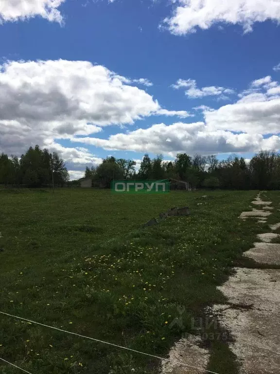 Участок в Пензенская область, Бессоновский район, с. Лопатки ул. В. ... - Фото 0