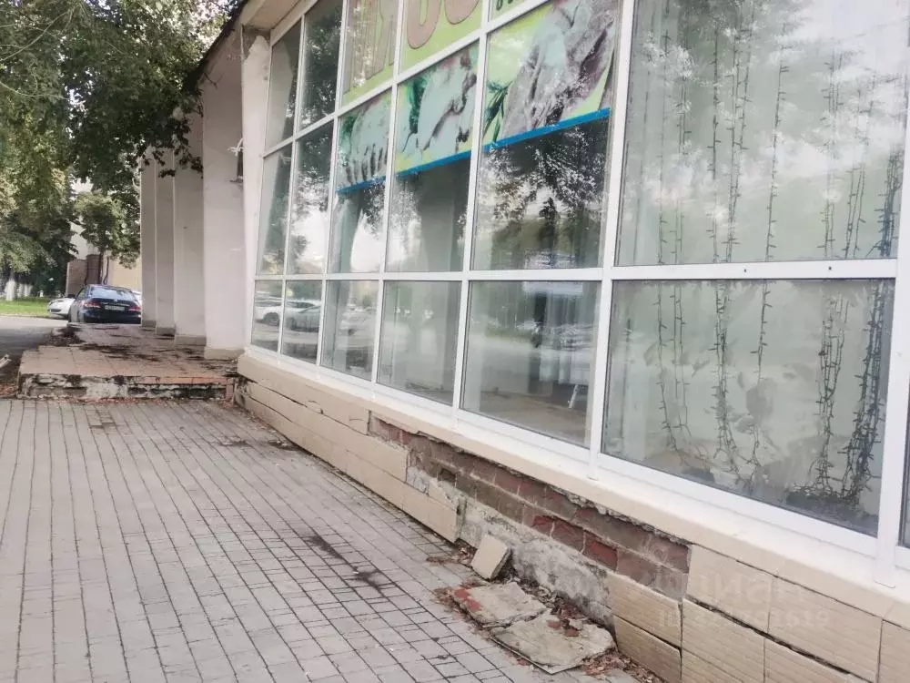 Торговая площадь в Челябинская область, Челябинск ул. Свободы, 173 ... - Фото 2