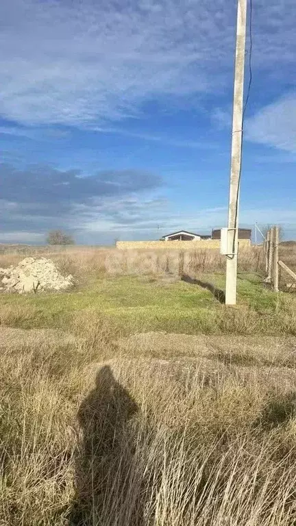 Участок в Крым, Черноморский район, с. Новосельское ул. Миндальная ... - Фото 1