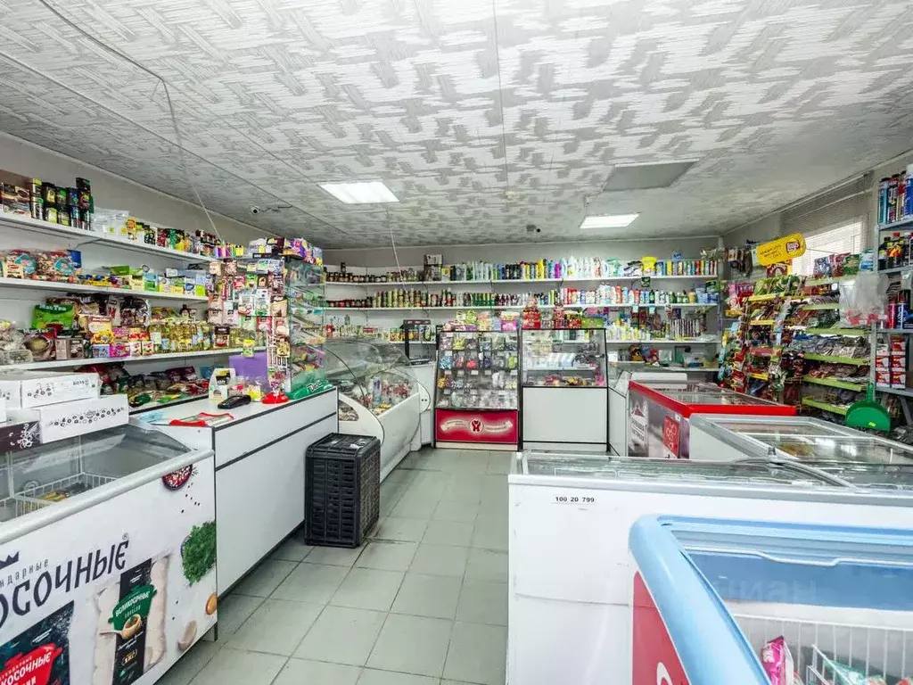 Торговая площадь в Новосибирская область, Мошковский район, с. Барлак ... - Фото 1