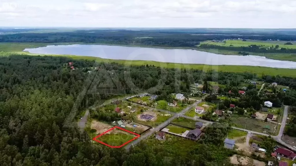 Участок в Веснино, Кедровая улица, 17 (12 м) - Фото 0