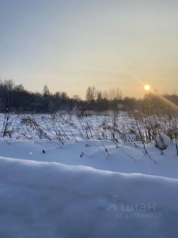 Участок в Тульская область, Алексин городской округ, с. Сотино  (550.0 ... - Фото 1