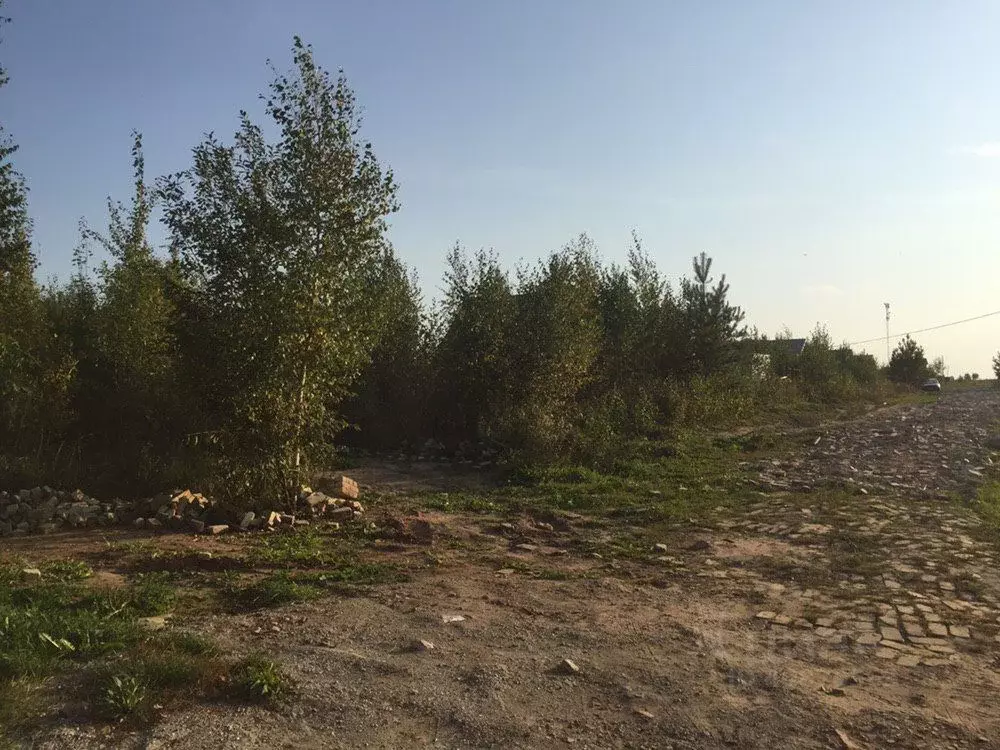 Участок в Нижегородская область, Богородский район, с. Афанасьево ул. ... - Фото 0