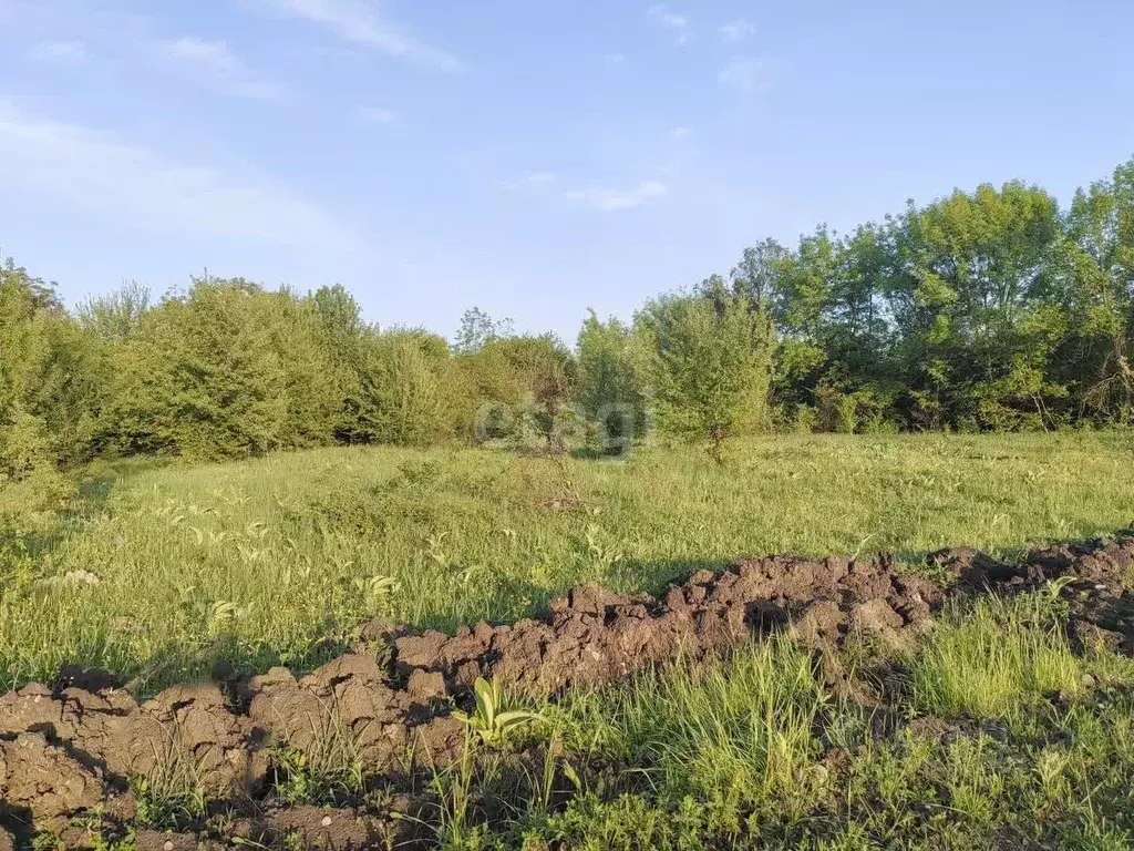 Участок в Адыгея, Майкоп городской округ, пос. Северный ул. Новая (7.6 ... - Фото 0