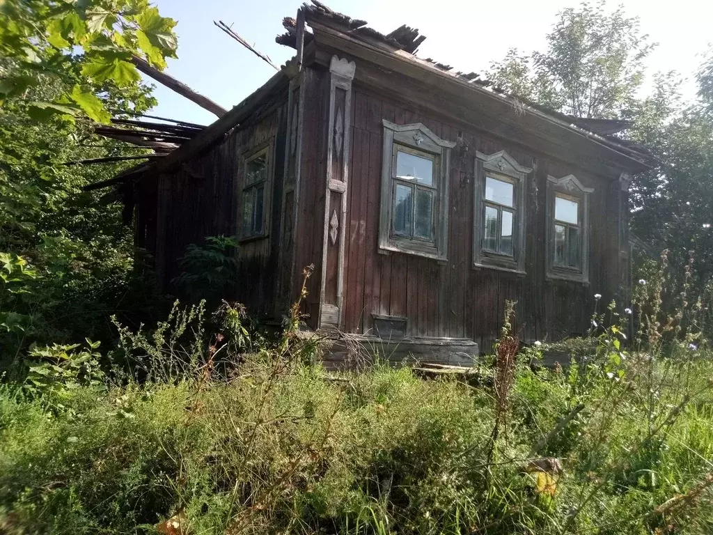 Участок в Нижегородская область, Лысковский район, с. Бармино  (32.0 ... - Фото 1