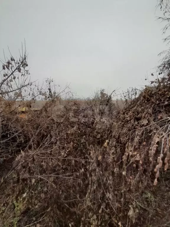 Дом в Саратовская область, Балашовский район, с. Тростянка ул. Ленина, ... - Фото 1