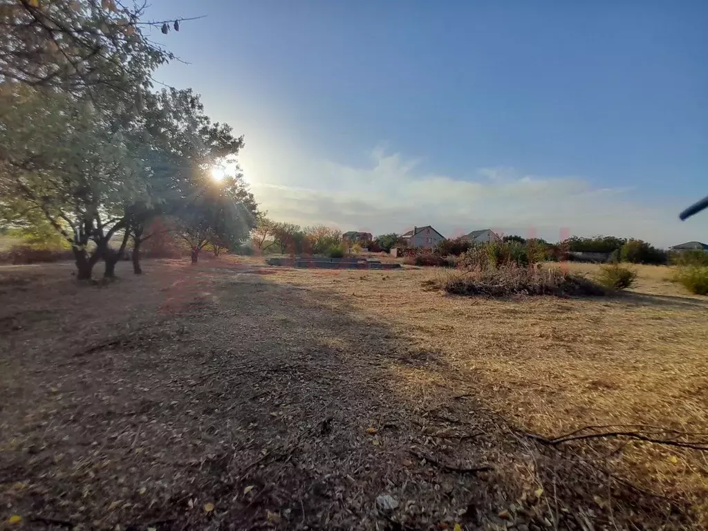 Участок в Ростовская область, Октябрьский район, Кривянское с/пос, ... - Фото 1