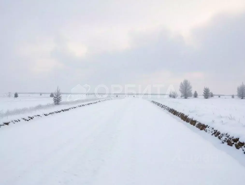 Участок в Тюменская область, Тюменский муниципальный округ, д. Елань, ... - Фото 2