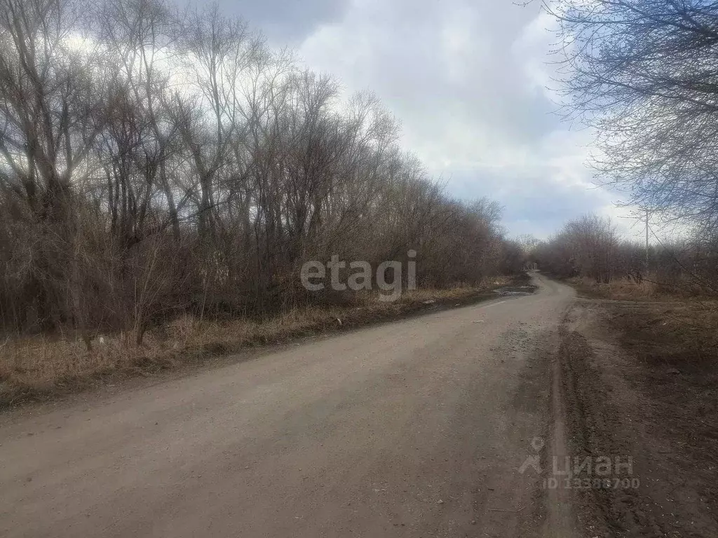 Участок в Курганская область, Далматово Восточная ул. (15.0 сот.) - Фото 0