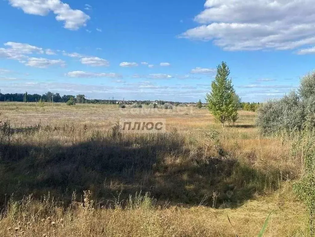 Участок в Волгоградская область, Краснослободск Среднеахтубинский ... - Фото 1