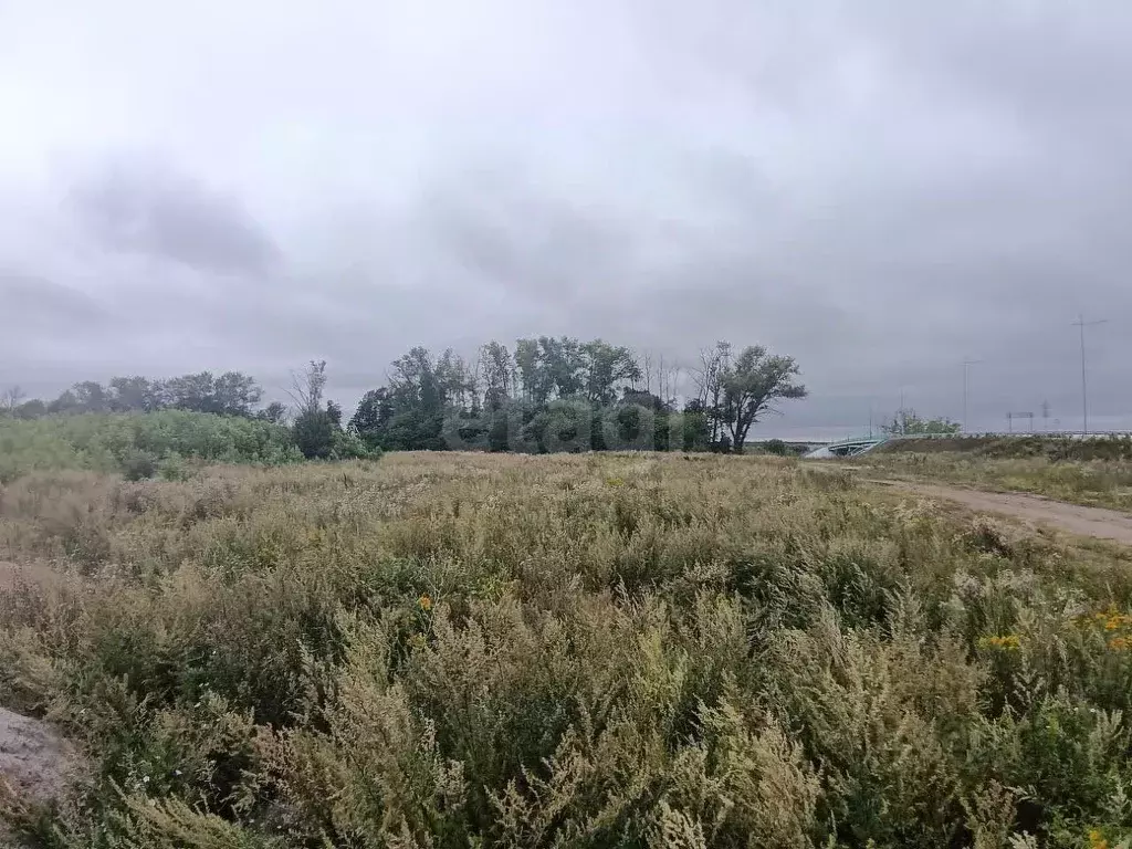 Участок в Тульская область, Воловский район, Турдейское с/пос, д. ... - Фото 1