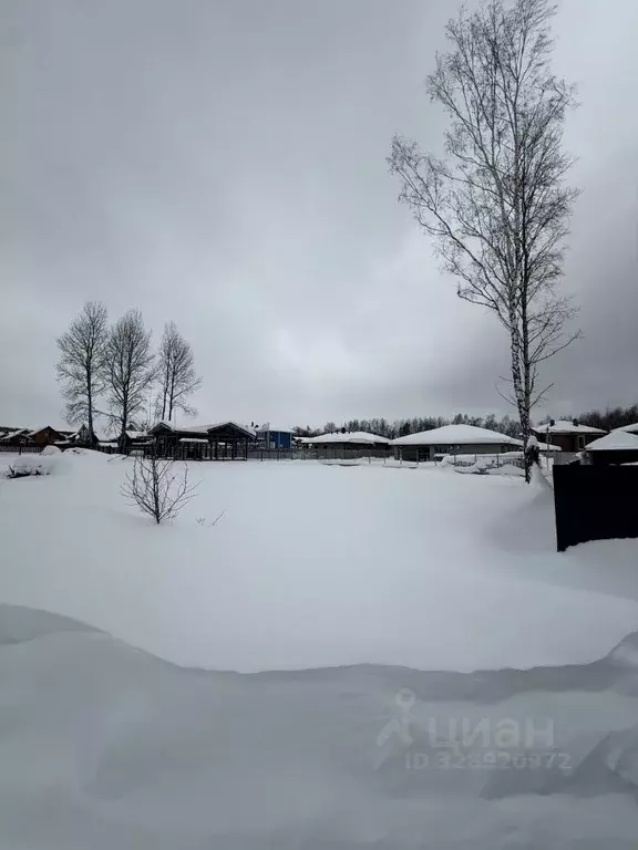 Участок в Московская область, Дмитровский муниципальный округ, с. ... - Фото 2