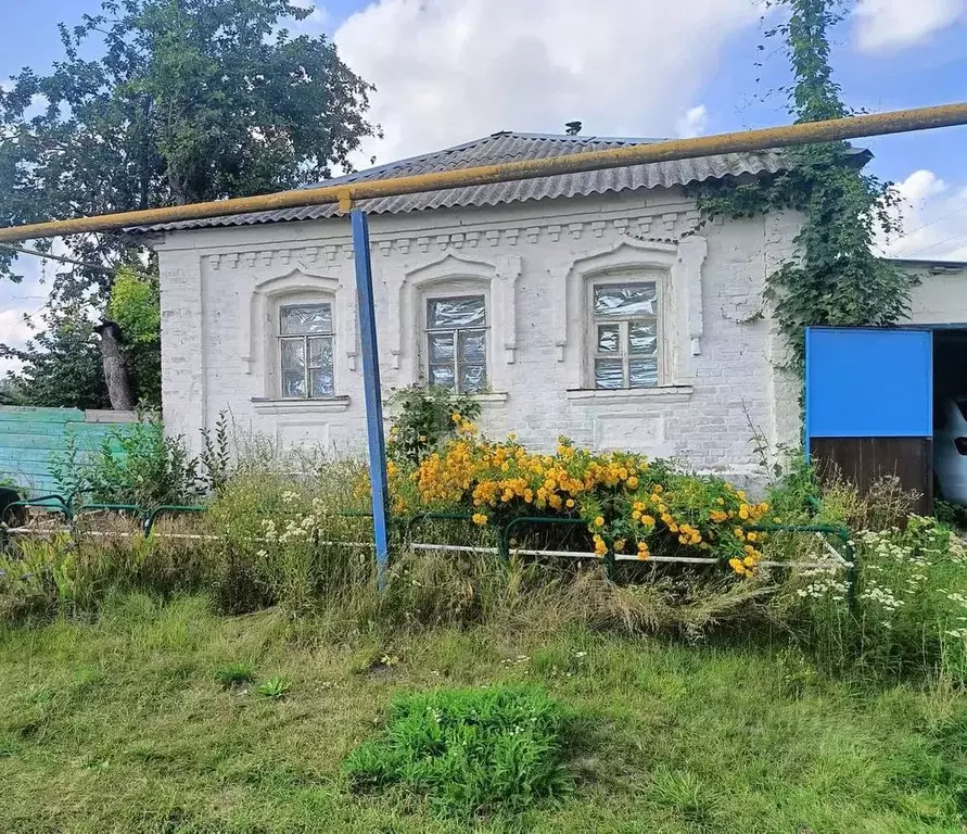 Дом в Белгородская область, Красногвардейский район, Засосенское ... - Фото 1