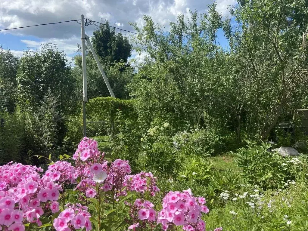 Участок в Московская область, Солнечногорск городской округ, д. ... - Фото 0