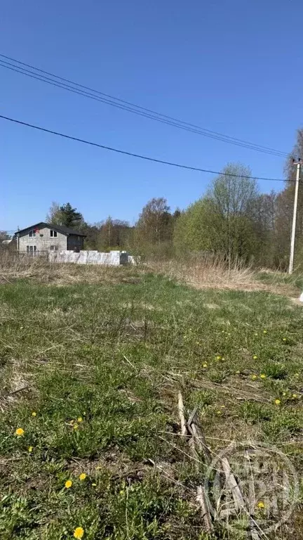 Участок в Ленинградская область, Ломоносовский район, Большая Ижора ... - Фото 0