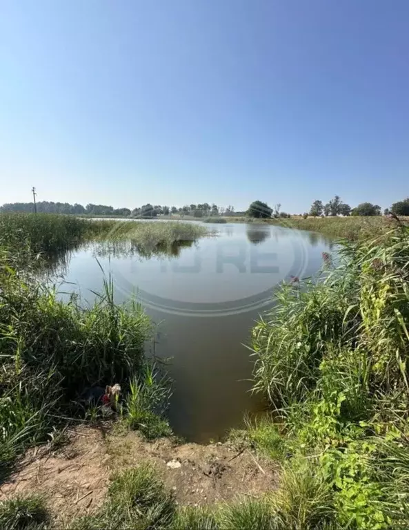 Участок в Калининградская область, Правдинский муниципальный округ, ... - Фото 0