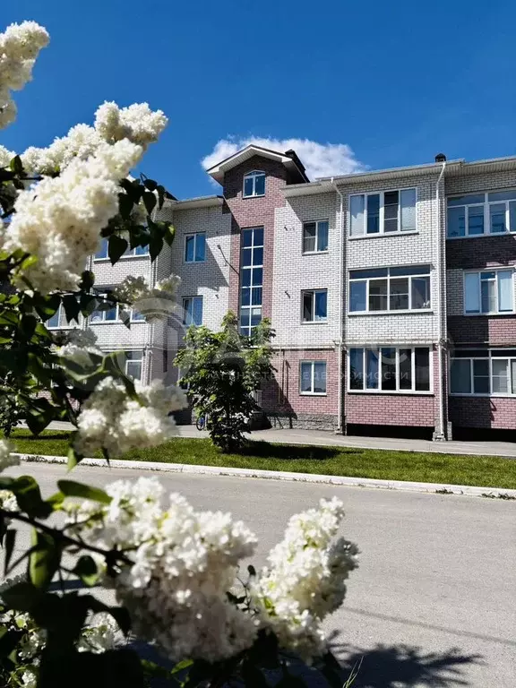 3-к. квартира, 250 м, 3/3 эт. - Фото 0
