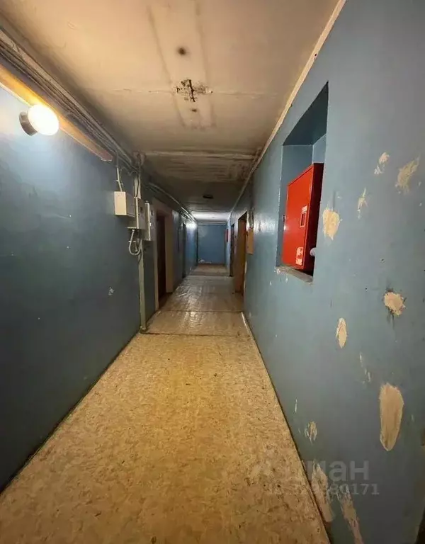 Комната Ленинградская область, Тосно г. Тосненский район, Тосненское ... - Фото 1