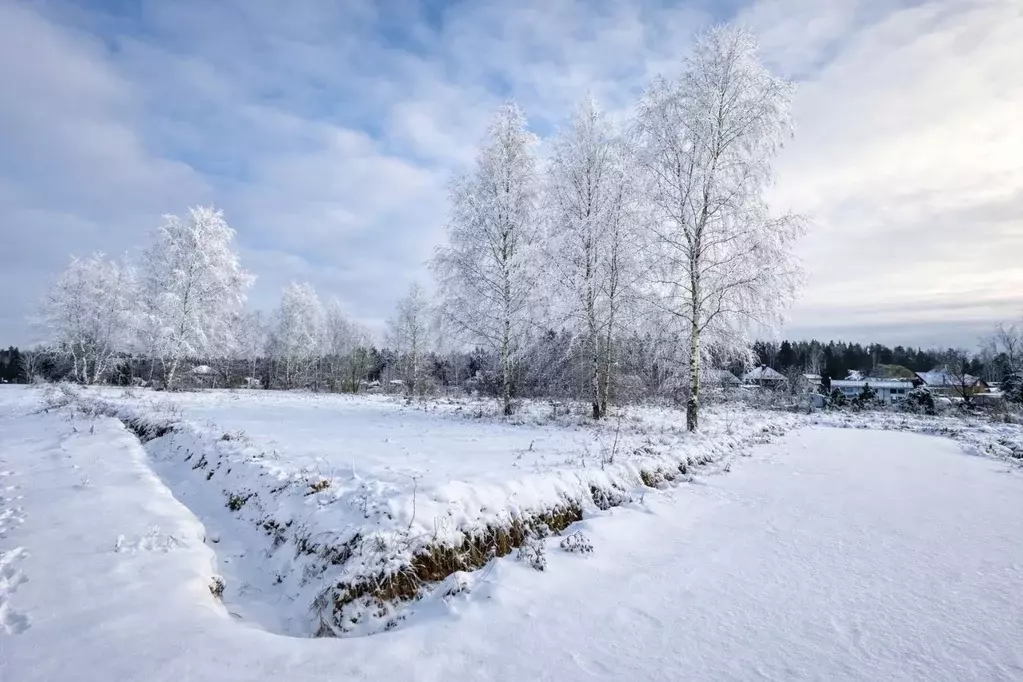 Участок в Московская область, Солнечногорск городской округ, д. Покров ... - Фото 1