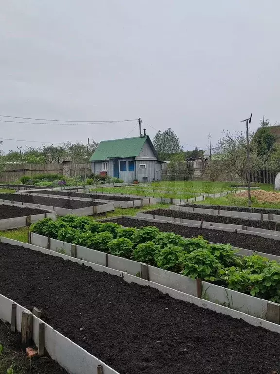 Участок 11,8 сот. (СНТ, ДНП) - Фото 0