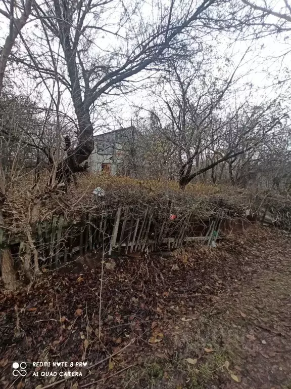 Участок в Белгородская область, Яковлевский муниципальный округ, с. ... - Фото 1