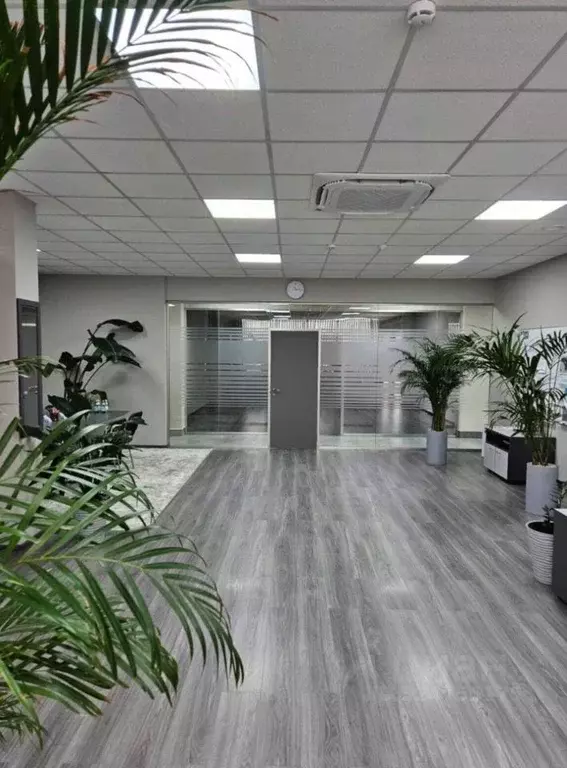 Офис в Санкт-Петербург Домостроительная ул., 16 (250 м) - Фото 1