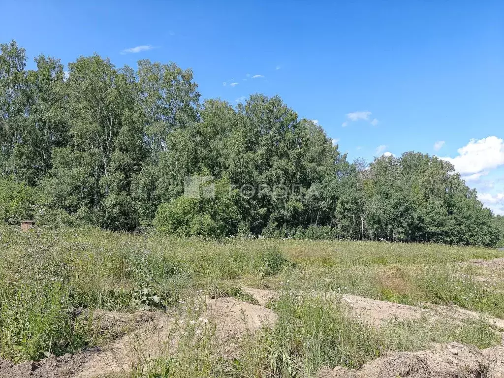 Участок в Новосибирская область, Новосибирский район, Раздольненский ... - Фото 0