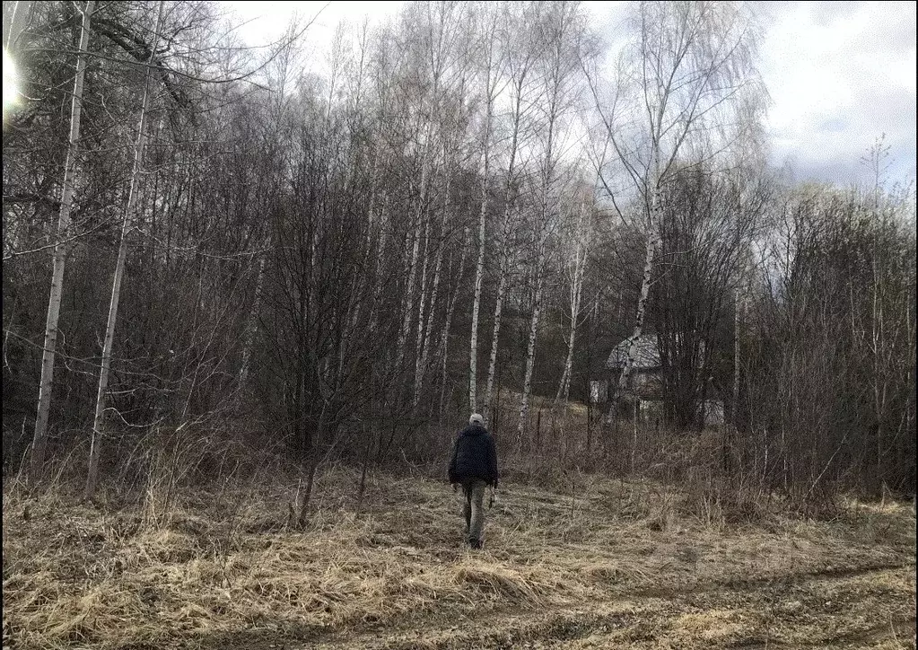Участок в Нижегородская область, Лысковский район, с. Юркино  (12.0 ... - Фото 1