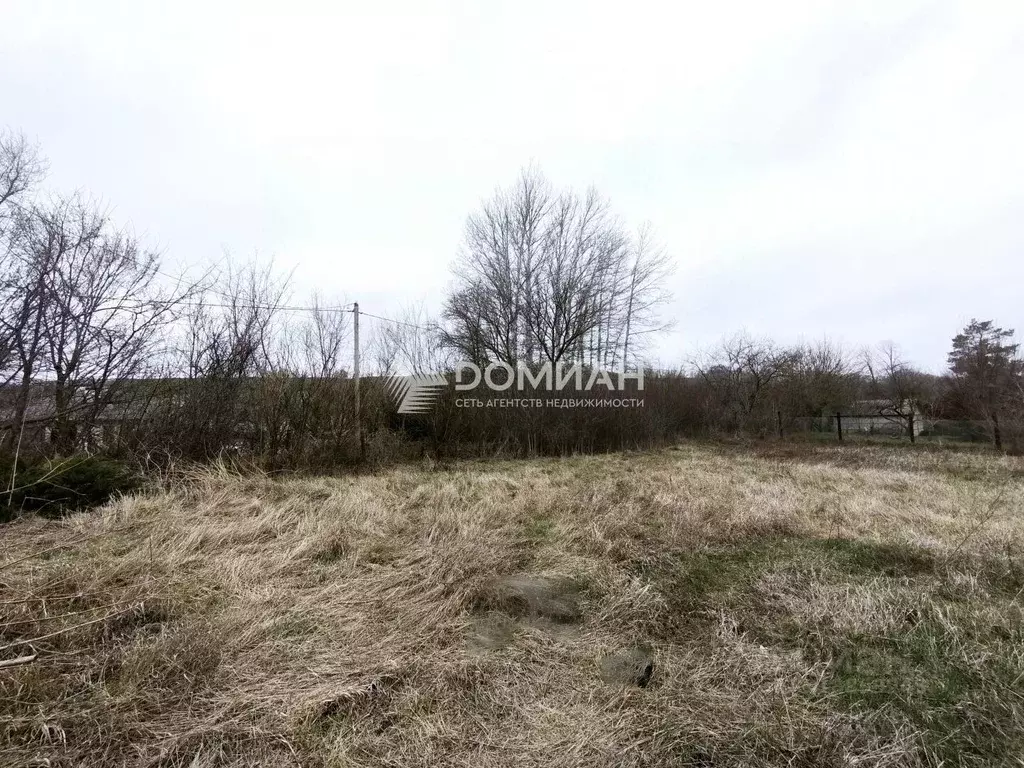 Участок в Ростовская область, Родионово-Несветайский район, ... - Фото 1