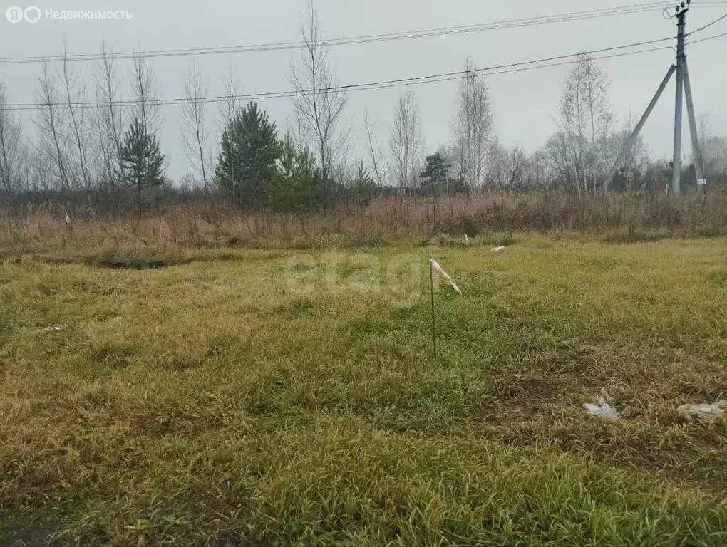 Участок в Новотарманский, Калиновая улица (7.32 м) - Фото 2