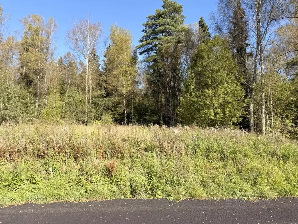 Участок в Московская область, Дмитровский муниципальный округ, д. ... - Фото 2