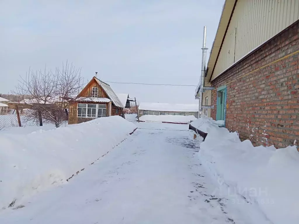 3-к кв. Омская область, Кормиловский район, с. Алексеевка Центральная ... - Фото 0