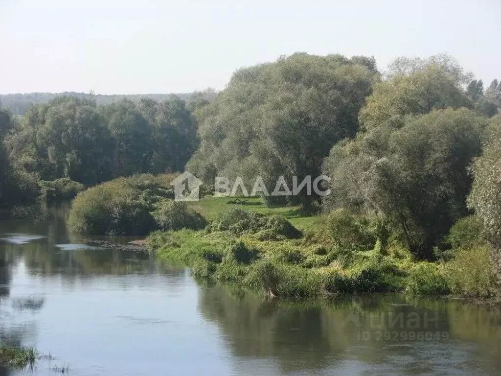 Участок в Калужская область, Жуковский район, Высокиничи с/пос, ... - Фото 2