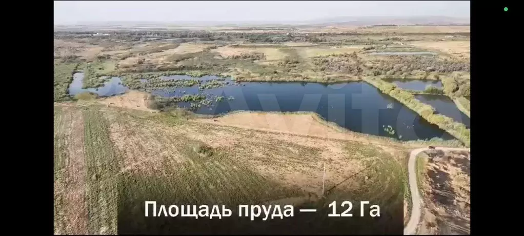 Участок 12 сот. (СНТ, ДНП) - Фото 1