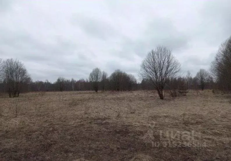 Участок в Московская область, Дмитровский муниципальный округ, д. ... - Фото 1