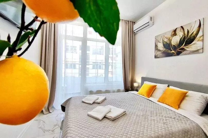 1-к кв. Краснодарский край, Сочи ул. Ленина, 290/7к3 (27.0 м) - Фото 1