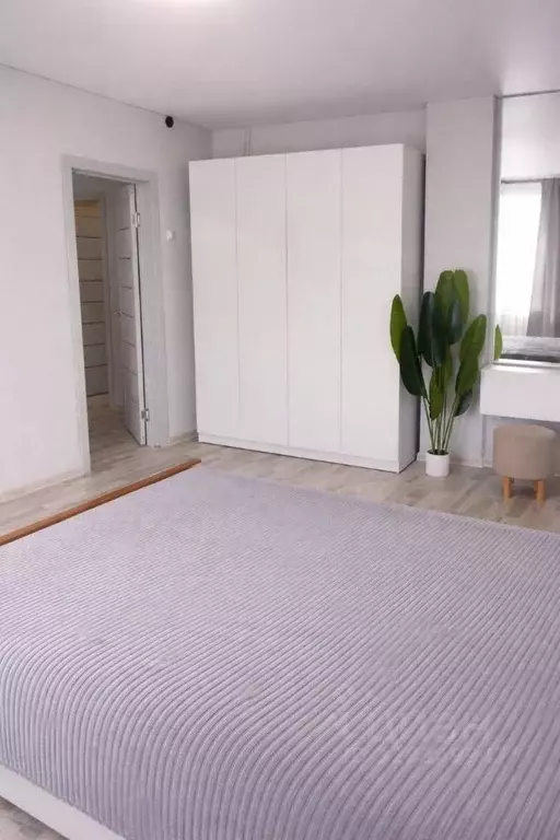 2-к кв. Ростовская область, Ростов-на-Дону Социалистическая ул., 216 ... - Фото 2