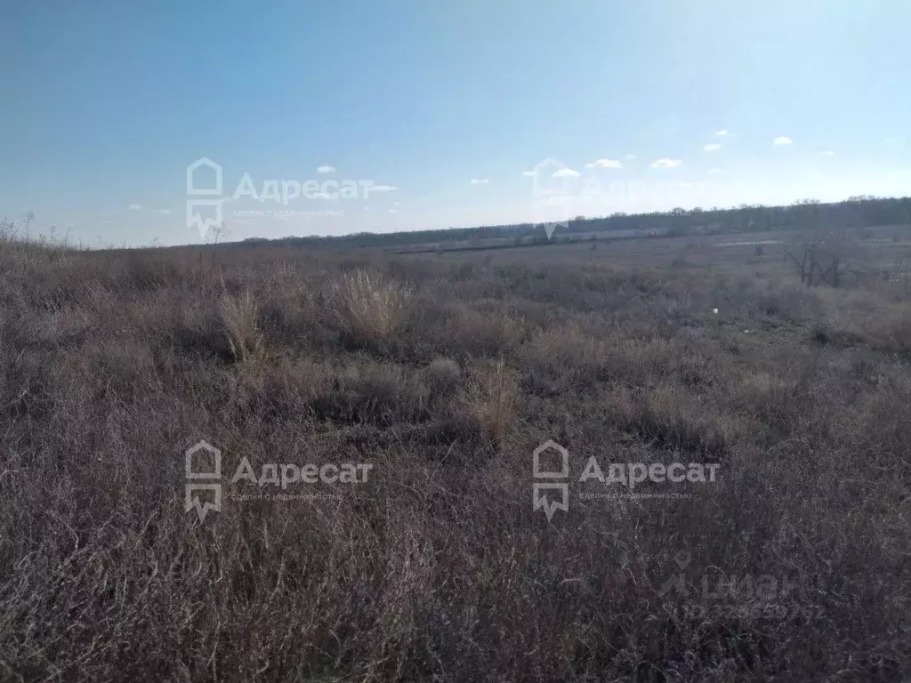 Участок в Волгоградская область, Средняя Ахтуба рп ул. Наримана, 43 ... - Фото 2