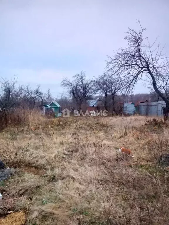 Участок в Московская область, Зарайск Зарайск городской округ, Надежда ... - Фото 0