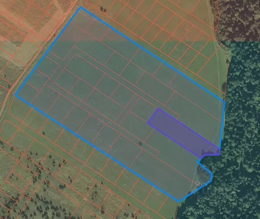 Участок в Пермский край, Пермский муниципальный округ, д. Заозерье ... - Фото 2