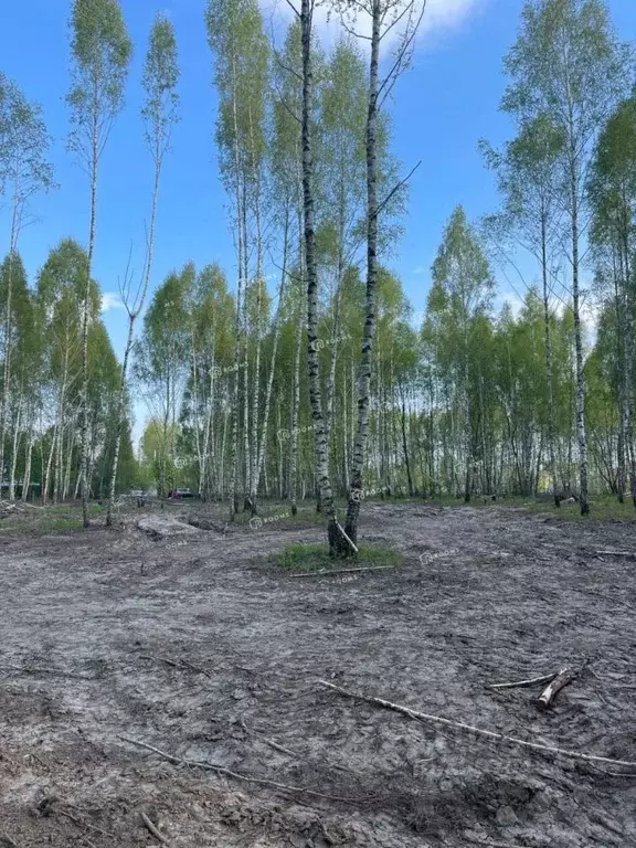 Участок в Тульская область, Тула ул. Тюрина, 66 (11.2 сот.) - Фото 1