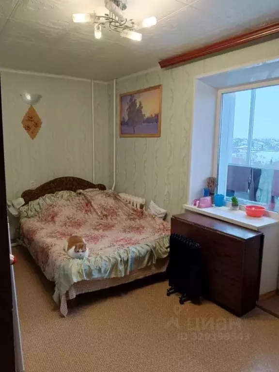 Комната Тульская область, Тула Мясново мкр, проезд 18-й Мясново, 98 ... - Фото 2