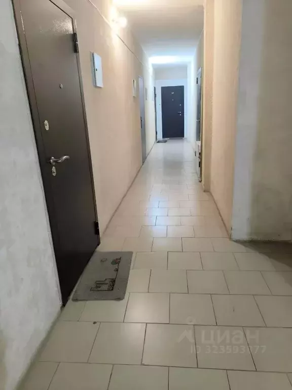 Студия Краснодарский край, Краснодар пос. Российский, ул. ... - Фото 1