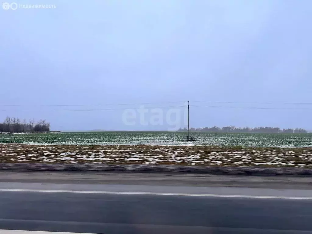 Участок в Ярославская область, Любимский муниципальный округ, деревня ... - Фото 2