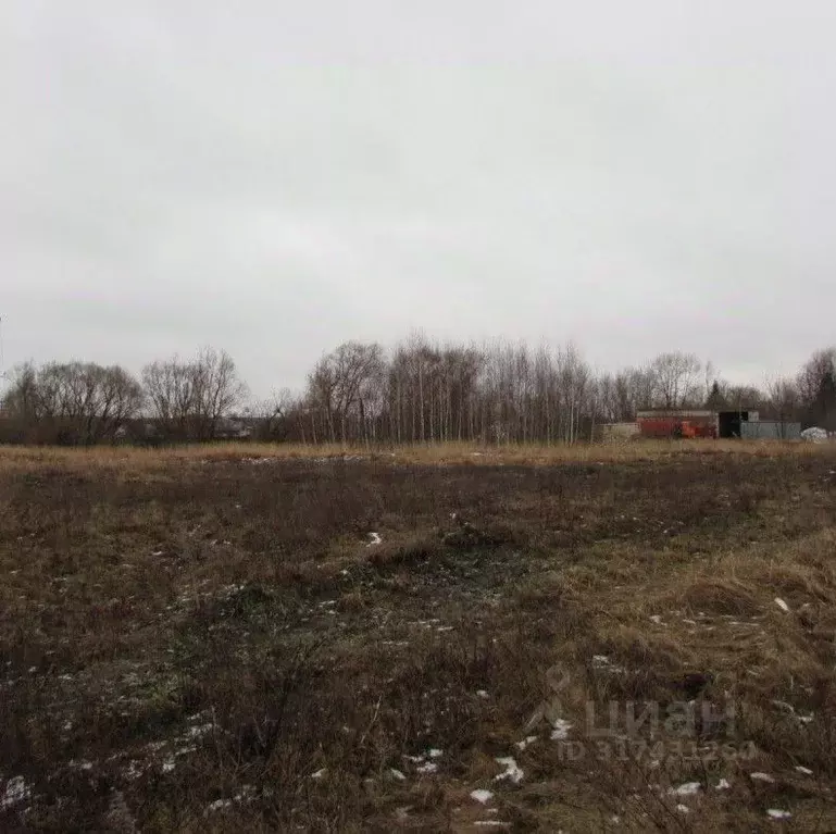 Участок в Московская область, Озеры Коломна городской округ, Луговая ... - Фото 1